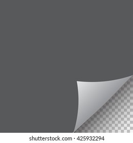 Curled Page Corner isolated background stylish design