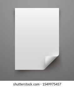 Curled Page Corner  isolated on Gray background