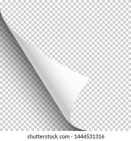 Curled page corner with shadow on transparent background. Blank sheet of paper. Vector illustration.
