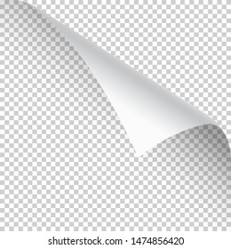 Curled page corner with shadow on transparent background. Blank sheet of paper. Vector illustration.