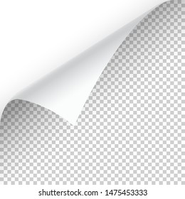 Curled page corner with shadow on transparent background. Blank sheet of paper. Vector illustration.