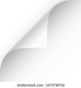 Curled page corner with shadow on transparent background. Blank sheet of paper. Vector illustration.