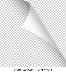 Curled page corner with shadow on transparent background. Blank sheet of paper. Vector illustration.