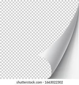 Curled Page Corner With Shadow On Transparent Background Realistic Vector Illustration Eps 10