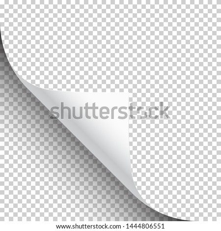 Curled page corner with shadow on transparent background. Blank sheet of paper. Vector illustration.