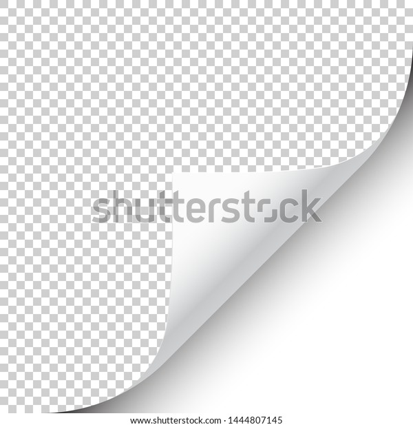 Curled page corner with\
shadow on transparent background. Blank sheet of paper. Vector\
illustration.