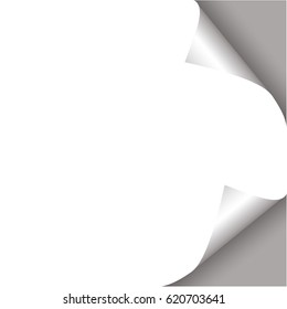 Curled page paper vector