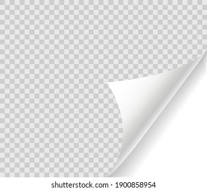 Curled page with shadow on blank sheet of paper. Page curl realistic paper mock up. Design element for advertising and promotional. Vector illustration.