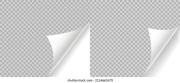 Curled page with shadow on blank sheet of paper. Page curl realistic paper mock up. Design element for advertising and promotional. Vector illustration.