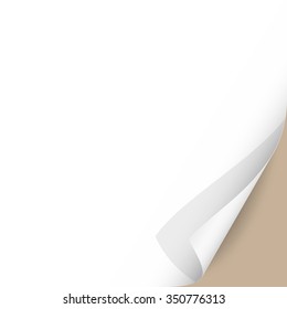 Curled Paper Corner with Beige Background. Vector Illustration.