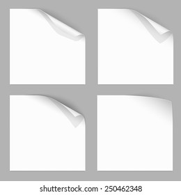 Curled Paper Corner with Dark Background. Vector Illustration