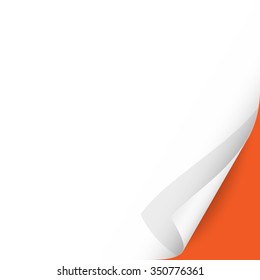 Curled Paper Corner with Orange Background. Vector Illustration.