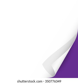 Curled Paper Corner with Purple Background. Vector Illustration.
