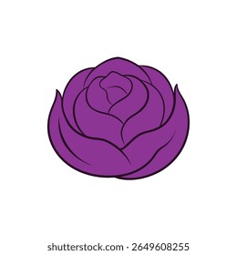 Curled purple cabbage leaves flat colorful artistic layout Vector illustration