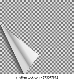 Curled transparent foil blank vector empty tag.