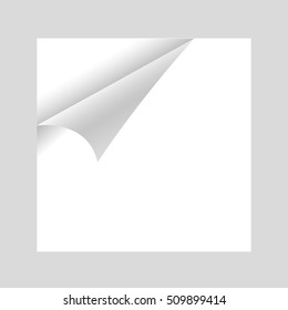 Curled White Paper Corner with white Background