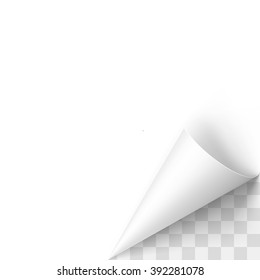 Curled White Paper Corner with Transparent Background