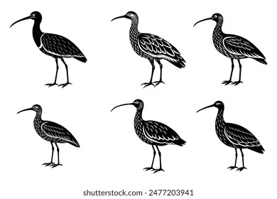 Curlew Silhouette Vector Illustration Collection