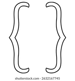 curly brackets illustration hand drawn outline vector