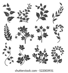 Curly branches silhouettes with leaves isolated on white background. Vector illustration