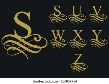 Curly caligraphic font , Vintage decorative alphabet, Artistic letter shape. Vector