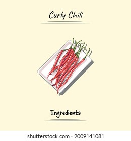 Esbozo De Ilustración De Chili Y Estilo Vector. Es bueno para el menú del restaurante, el libro de recetas de comida y el contenido de ingredientes de comida.