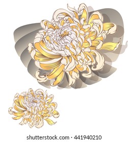 curly chrysanthemum flower blossoms. Cool for t-shirts, tattoos and design. Isolated on white background.