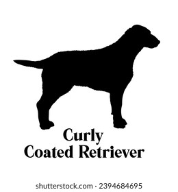 Curly Coated Retriever Dog silhouette dog breeds logo dog monogram logo dog face vector