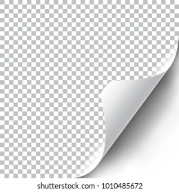 Curly corner mock up with transparent shadow. Vector illustration.