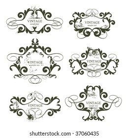 curly grunge vintage frames