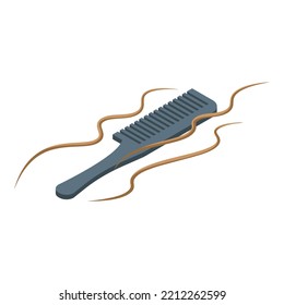 Curly hair comb icon isometric vector. Brush object. Woman care
