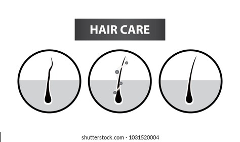 curly hair problem to care step vector illustration