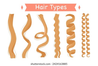 Curly hair types, infographic classification set vector illustration. Cartoon isolated group of light strands with different curls and structure, straight and frizzy, wavy and afro kinky hair