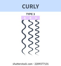 Curly, kinky hair type classification system set. Detailed human hair growth style chart. Health care and beauty concept. Vector illustration.