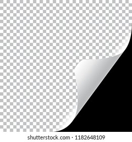 Curly Page Corner realistic illustration with transparent shadow. Vector illustration