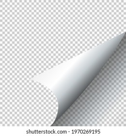 Curly Page Corner realistic illustration with transparent shadow. Ready to apply to your design. Graphic element for documents, templates, posters, flyers. Vector illustration.