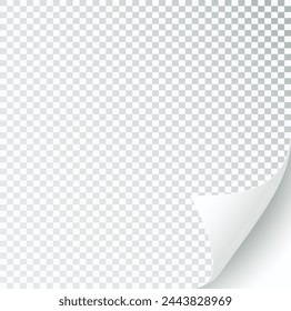 Curly Page Corner realistic illustration. Curled corners set. Paper page curl corner, flip turn fold sheet. Sticker. Vector