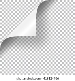 Curly Page Corner realistic illustration with transparent shadow. Ready to apply to your design. Graphic element for documents, templates, posters, flyers.