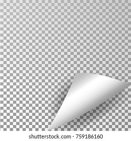 Curly page corner realistic shadow on blank sheet of paper Isolated on transparent background. Vector illustration