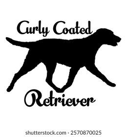 Curly Сoated Retriever. dog silhouette, dog breeds, logo, vector, silhouette,  animal, illustration, icon, sign, design, black, symbol, pet, love
