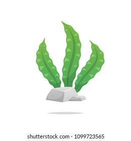 Curly seaweed vector isolated