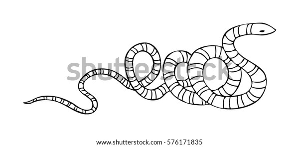 Curly Snake Illustration Stock Vector (Royalty Free) 576171835