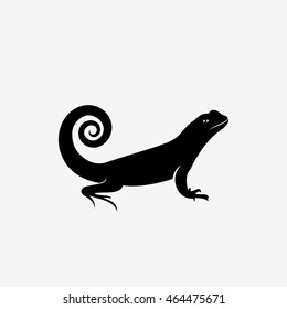 Curly tailed lizard - vector illustration