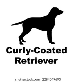 curly-coated retriever Dog silhouette vector. Dog breeds