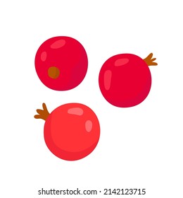 Currant, berries. Flat vector illustration isolated on white background in cartoon style
