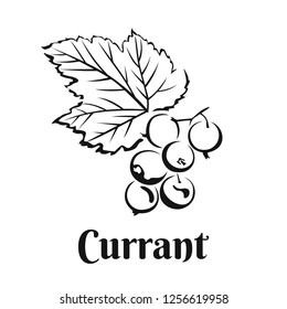 Currant berries icon isolated on white background. Vector food illustration in a simple style. Named.