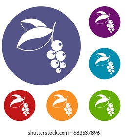 Currant berries icons set