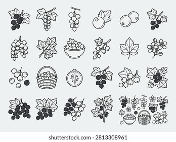 Currant Berry Botanical Line Art Collection