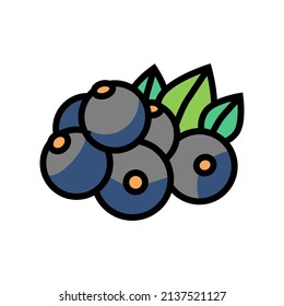 vector de icono de color de berry de currant. señal de berry de currant. ilustración de símbolo aislado