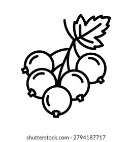 Currant Berry fruit icon line art vector isolated design